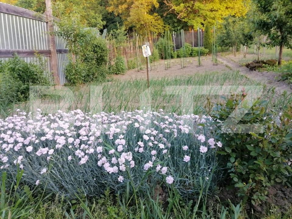 Casa de vânzare 3 camere Blaj - 160902CV | BLITZ Alba Iulia | Poza10