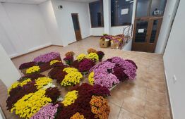 Spatiu comercial de inchiriat, 60 mp, zona-centrala