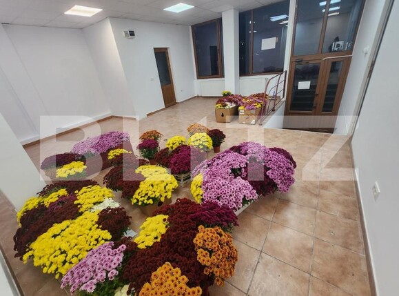 Spațiu comercial de închiriat Ampoi 3 - 160976SIC | BLITZ Alba Iulia | Poza1