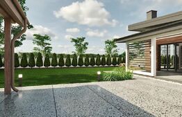 Casa Individuala cu finalizare proiect primavara 2025