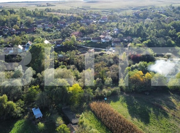 Casa de vânzare 2 camere Garbova de Jos - 161077CV | BLITZ Alba Iulia | Poza6