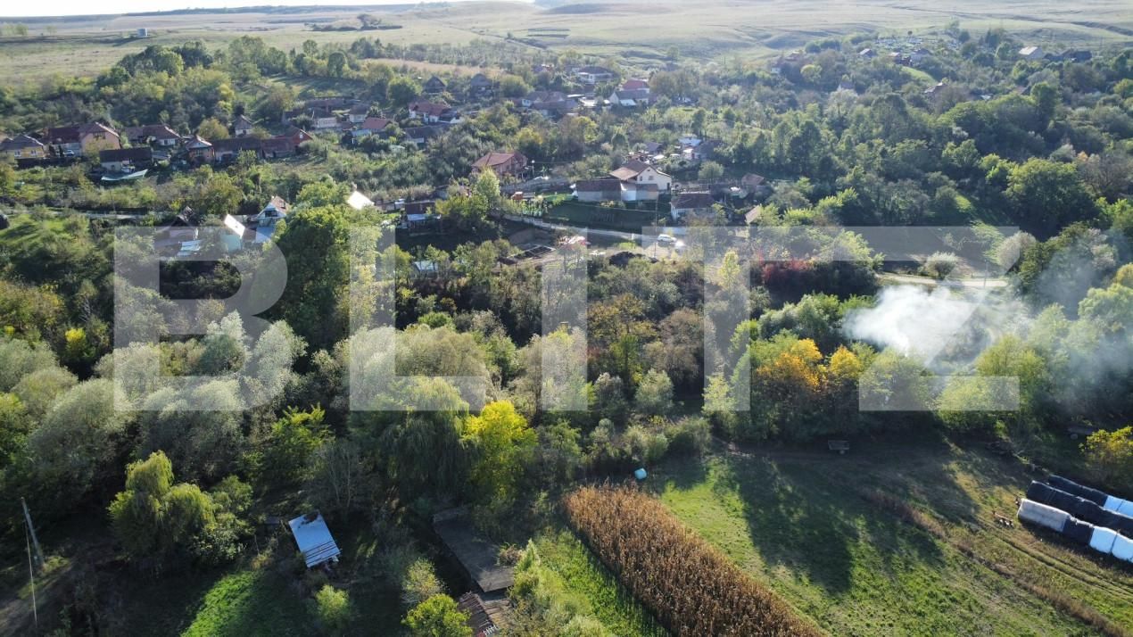 Casa de vânzare 2 camere Garbova de Jos - 161077CV | BLITZ Alba Iulia | Poza6