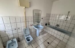 Hala 3.800 mp ,Oportunitati de Investitie