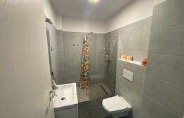 Apartament modern 2 camere, zona Cetate