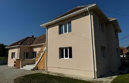 Casă cu 5 camere și spațiu comercial, teren 4079mp, zona Stremț - Teius