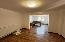 Casă cu 5 camere și spațiu comercial, teren 4079mp, zona Stremț - Teius