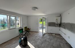 Casă cu 5 camere și spațiu comercial, teren 4079mp, zona Stremț - Teius