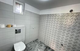 Casă cu 5 camere și spațiu comercial, teren 4079mp, zona Stremț - Teius