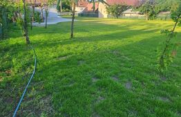 Casă cu 5 camere și spațiu comercial, teren 4079mp, zona Stremț - Teius