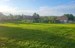 Casă cu 5 camere și spațiu comercial, teren 4079mp, zona Stremț - Teius