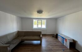 Casă cu 5 camere și spațiu comercial, teren 4079mp, zona Stremț - Teius