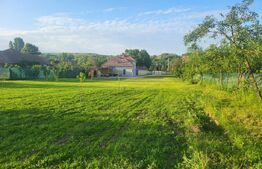 Casă cu 5 camere și spațiu comercial, teren 4079mp, zona Stremț - Teius