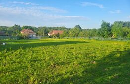 Casă cu 5 camere și spațiu comercial, teren 4079mp, zona Stremț - Teius