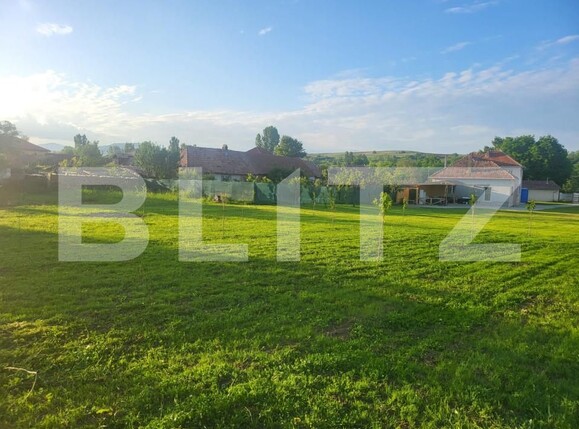 Casa de vânzare 5 camere Teius - 161148CV | BLITZ Alba Iulia | Poza13