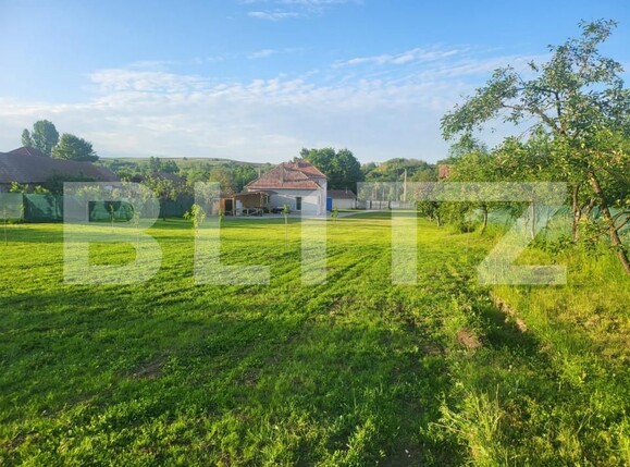 Casa de vânzare 5 camere Teius - 161148CV | BLITZ Alba Iulia | Poza14