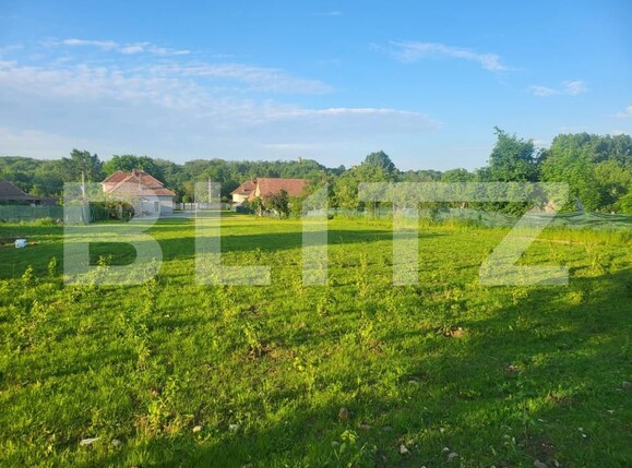 Casa de vânzare 5 camere Teius - 161148CV | BLITZ Alba Iulia | Poza12