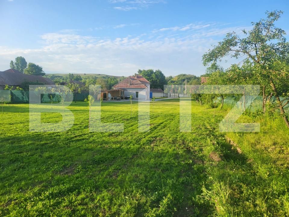 Casa de vânzare 5 camere Teius - 161148CV | BLITZ Alba Iulia | Poza14