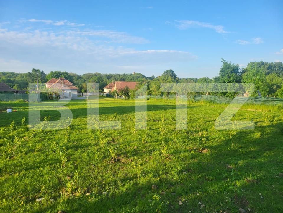 Casa de vânzare 5 camere Teius - 161148CV | BLITZ Alba Iulia | Poza12