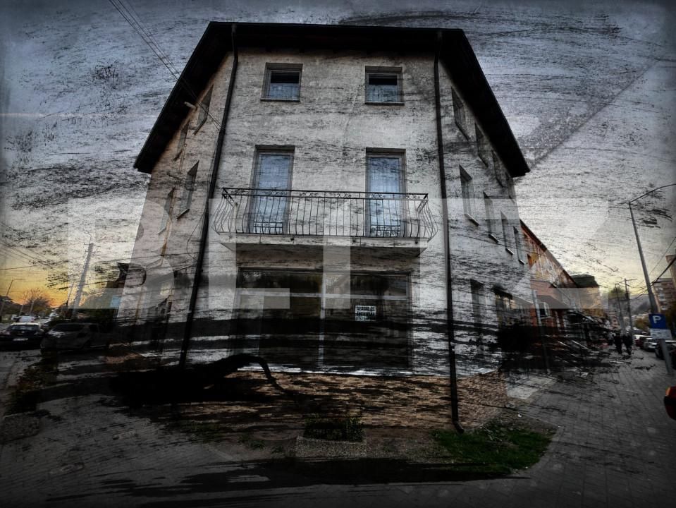 Spațiu comercial de închiriat Cetate - 161167SIC | BLITZ Alba Iulia | Poza5