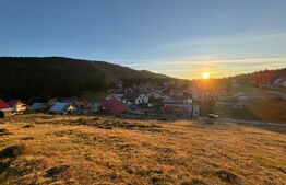 Teren 3100 mp în zona Arieșeni-Vîrtop-ideal pentru Investiție Montană