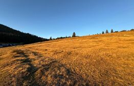 Teren 3100 mp în zona Arieșeni-Vîrtop-ideal pentru Investiție Montană