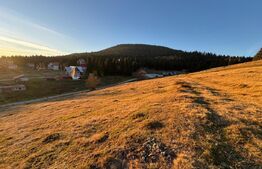 Teren 3100 mp în zona Arieșeni-Vîrtop-ideal pentru Investiție Montană