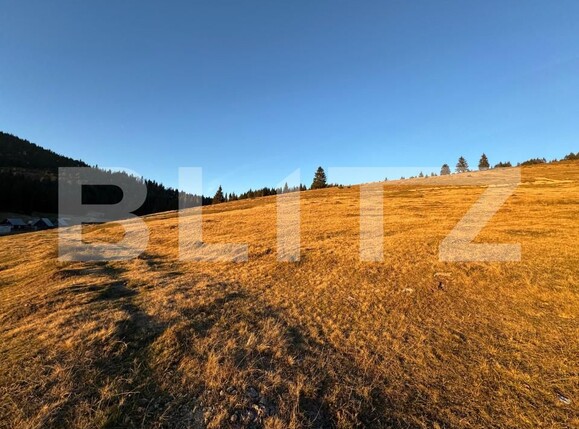 Teren de vânzare Nord Vest - 161278TV | BLITZ Alba Iulia | Poza2