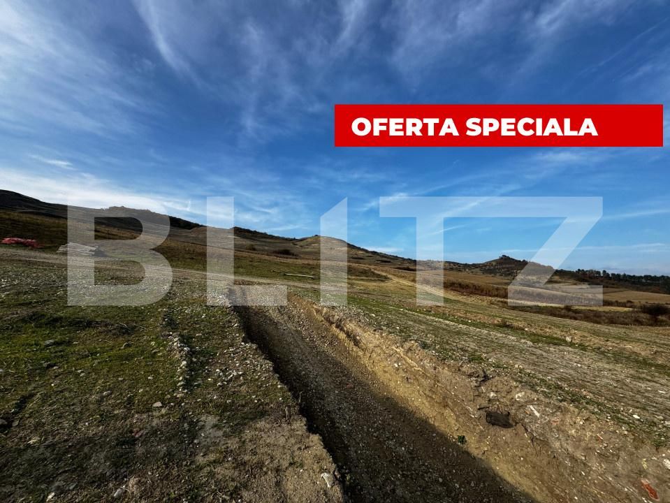 Teren de vânzare Blaj - 161308TV | BLITZ Alba Iulia | Poza6