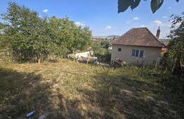 Căsuță Primitoare cu Teren – Războieni, Locație Retrasă