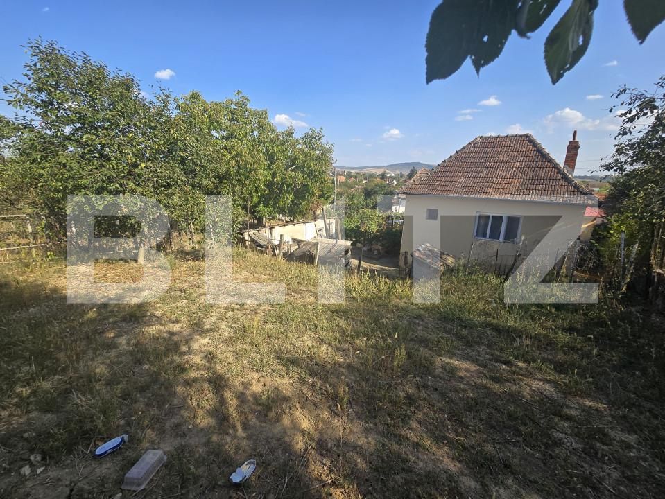 Casa de vânzare 2 camere Razboieni-Cetate - 161361CV | BLITZ Alba Iulia | Poza3