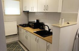 Apartament 2 camere, 36 mp, pretabil pentru regim hotelier, zona Cetate