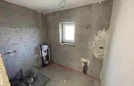 Casa individuala, zona Micesti