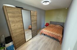 Apartament 3 camere , renovat complet, Zona-Cetate 