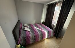 Apartament 3 camere , renovat complet, Zona-Cetate 