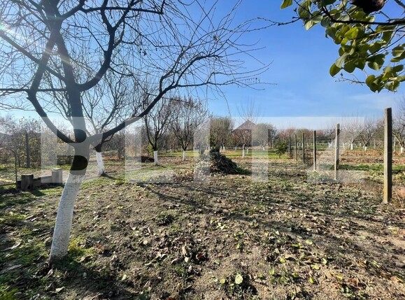 Casa de vânzare 4 camere Oarda - 161492CV | BLITZ Alba Iulia | Poza7