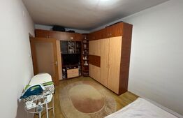 Apartament 2 camere, zona Cetate
