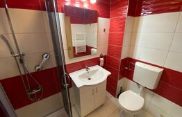 Casa insiruita, zona Centru 