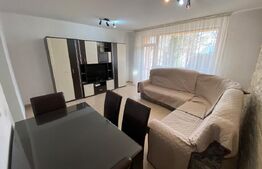 Casa insiruita, zona Centru 