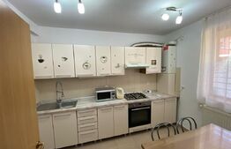 Casa insiruita, zona Centru 