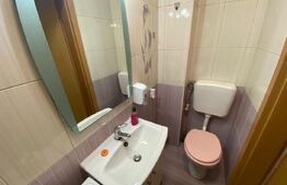 Casa insiruita, zona Centru 