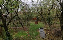 Casa Individuala cu 2 dormitoare , teren generos ,intr-o zona linistita Oc Mures