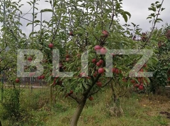 Casa de vânzare 3 camere Ocna Mures - 161552CV | BLITZ Alba Iulia | Poza2