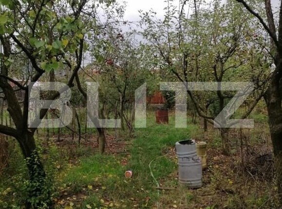 Casa de vânzare 3 camere Ocna Mures - 161552CV | BLITZ Alba Iulia | Poza4