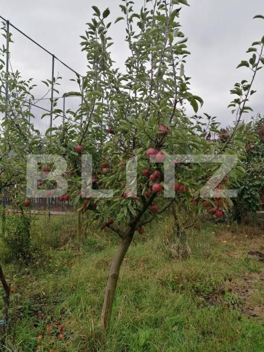 Casa de vânzare 3 camere Ocna Mures - 161552CV | BLITZ Alba Iulia | Poza2