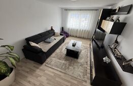 Apartament 2 camere, etaj 1, 50 mp, sub Stadion