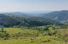 Teren extravilan pentru cabana, 3800 mp, zona-Ramet Transapuseana 