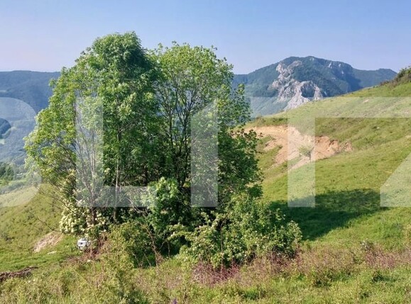 Teren de vânzare Exterior Nord - 161842TV | BLITZ Alba Iulia | Poza3