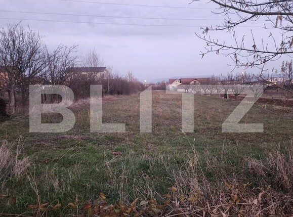 Teren de vânzare Cetate - 161876TV | BLITZ Alba Iulia | Poza1