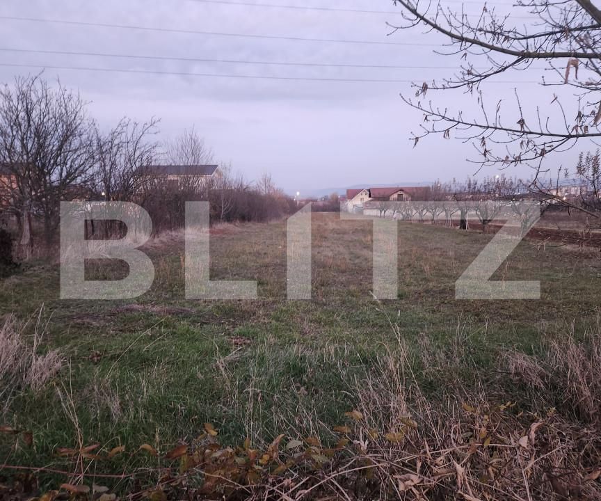 Teren de vânzare Cetate - 161876TV | BLITZ Alba Iulia | Poza1