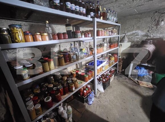 Casa de vânzare 4 camere Aiud - 161885CV | BLITZ Alba Iulia | Poza12